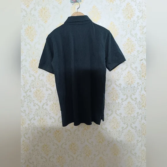 Champion - Picture 5 of 5